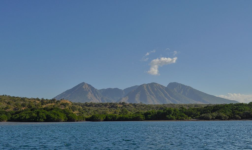 Photo №3 of Gunung Baluran